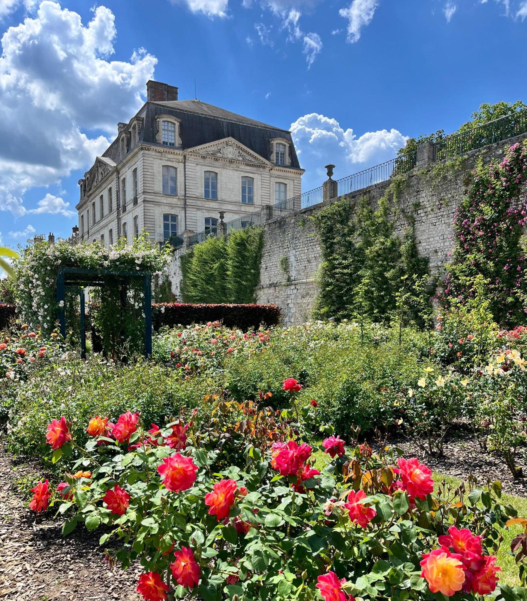 Chatel Rose - Historical Centre With Garden Blois Eksteriør billede